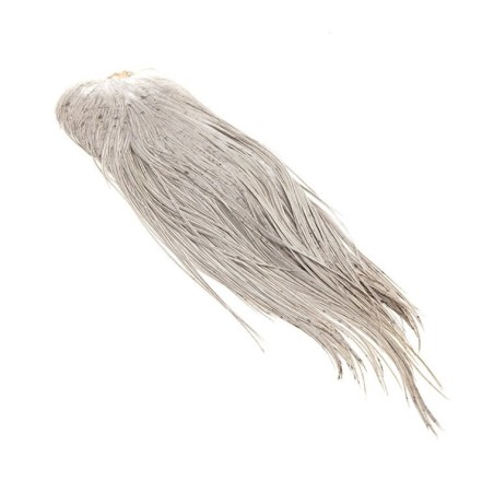 Gris Clair