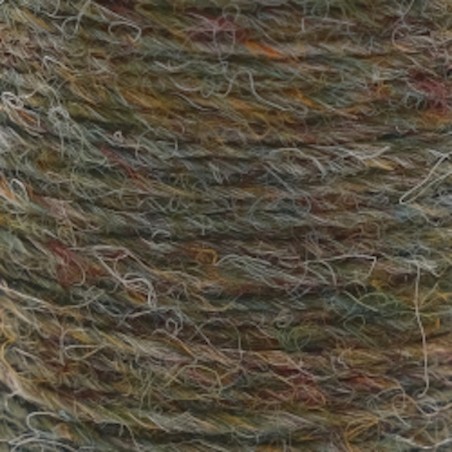 Olive Dun