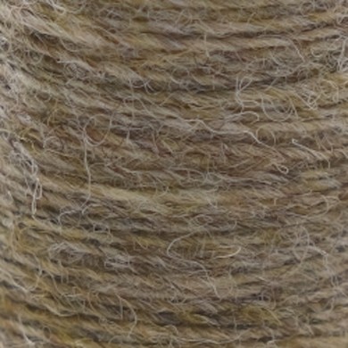 Gray Olive
