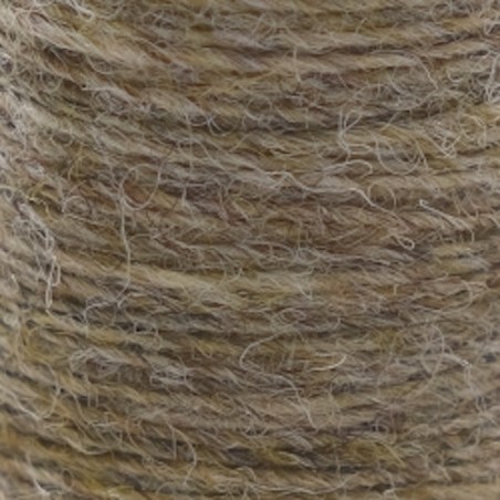 Gray Olive
