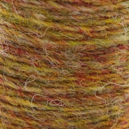 Yellow Olive