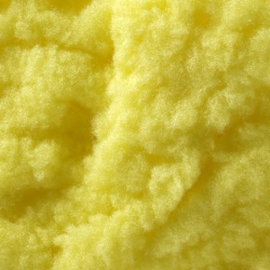 Sweetcorn