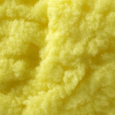 Sweetcorn
