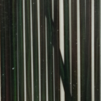Negro