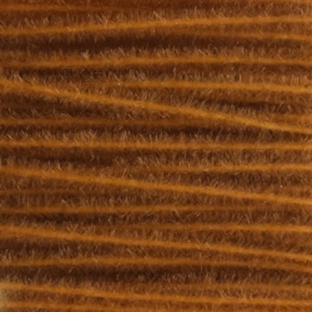 Canela