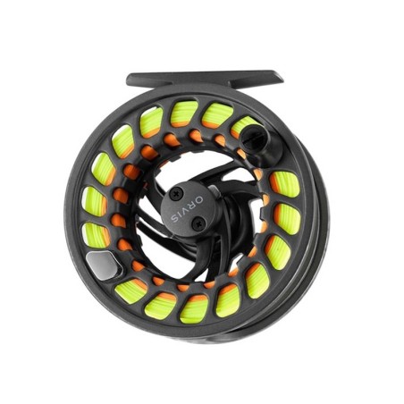 Large Arbor IV Gray