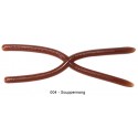 004 Scuppernong