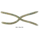 006 Blue Gill