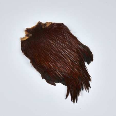 N°01 Roux