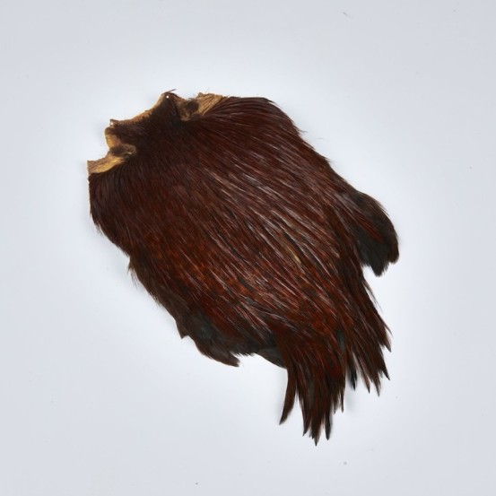 JMC Cou Indien Top Grade Naturel-