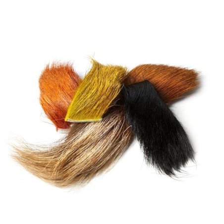 Teint Orange