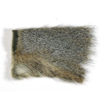 Gris Badger