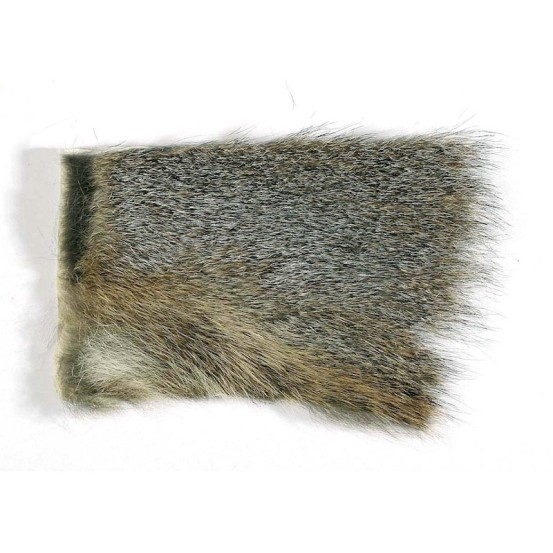 JMC Écureuil Gris sur Peau-