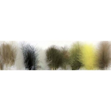 JMC Cdc Sélection 50 Plumes-