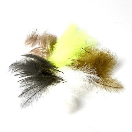 JMC Cul de Canard-