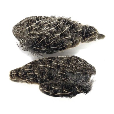 JMC Aile de Perdrix Grise-