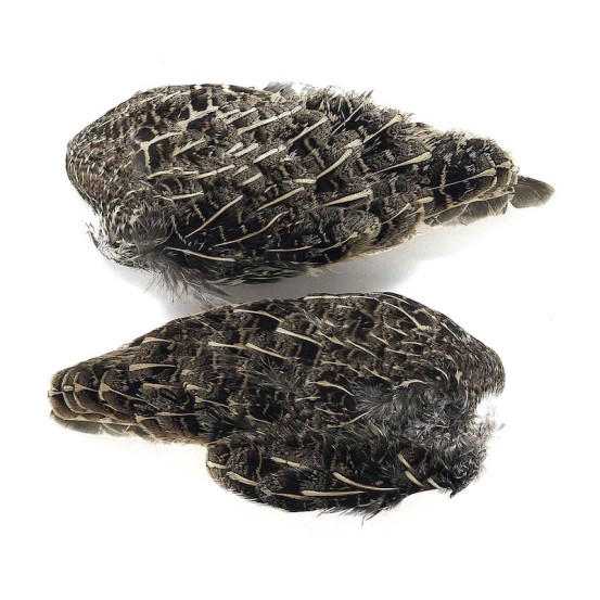 JMC Aile de Perdrix Grise-