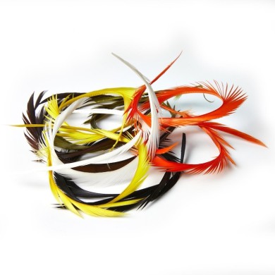 JMC Goose Biot-