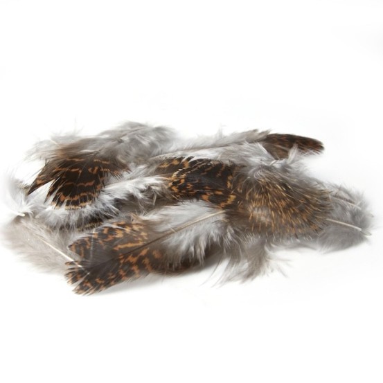 JMC Grouse (tétras)-