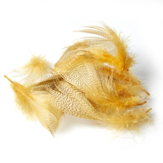 JMC Flanc de Canard d’Été-