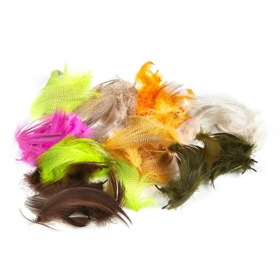 JMC Flanc de Colvert-