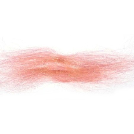 Pêche