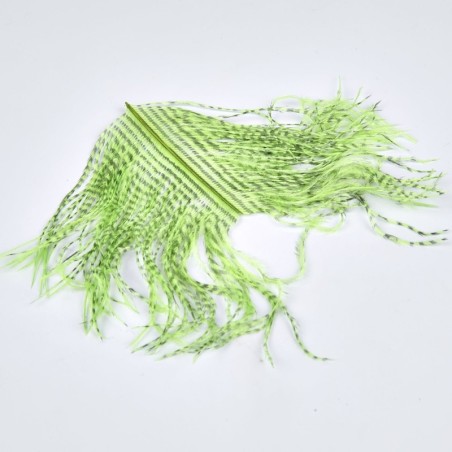 Chartreuse