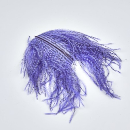 Violeta