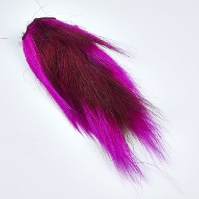 Fushia