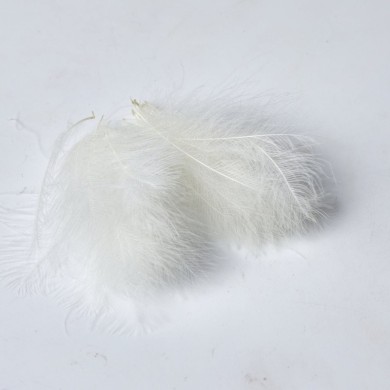 Blanc - 50 Plumes