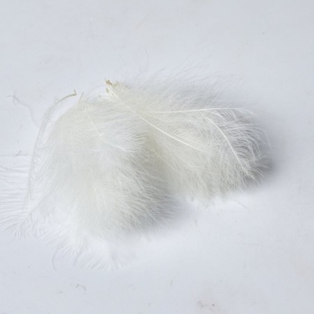 Blanc - 50 Plumes