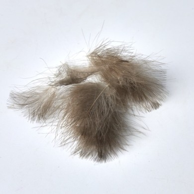 Kaki - 50 Plumes