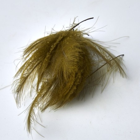 Olive - 50 Plumes