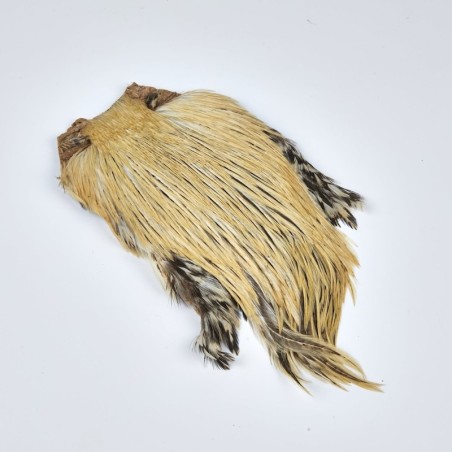 N°02 Badger