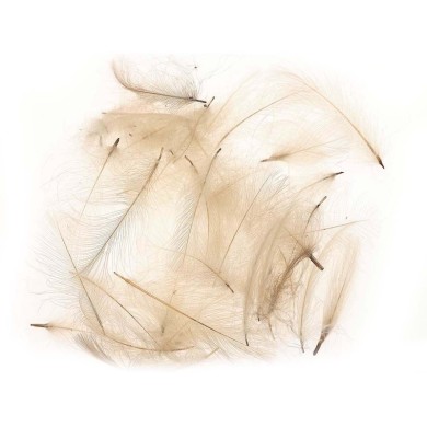 Sable