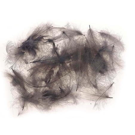 Gris Foncé