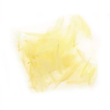 Jaune - 3gr