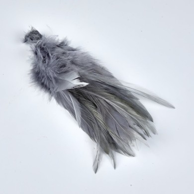 Gris