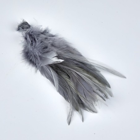 Gris