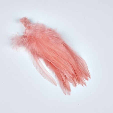 Corail