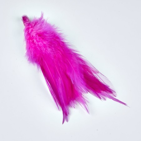 Fuschia