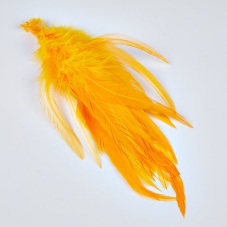 Orange fluo