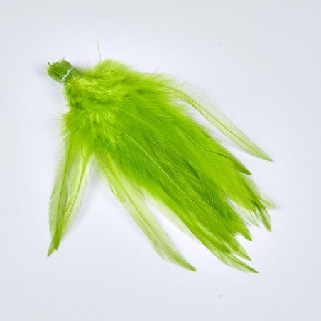 Vert