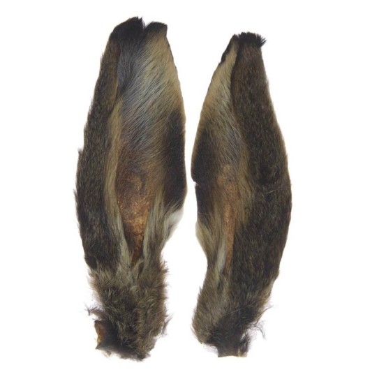 JMC Oreilles de Lièvre Naturel-