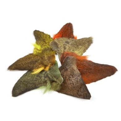 JMC Oreille de Chevreuil-