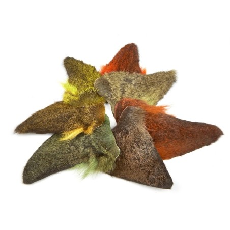 JMC Oreille de Chevreuil-