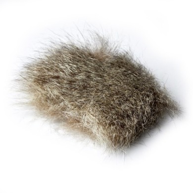 JMC Opossum d’Australie-