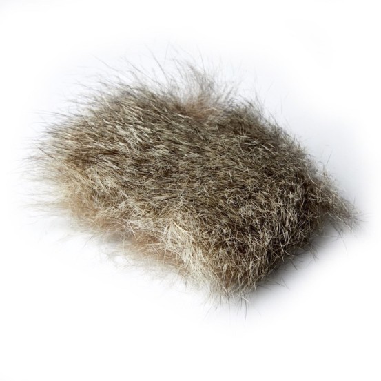 JMC Opossum d’Australie-