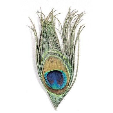 JMC Œil de Paon Naturel-