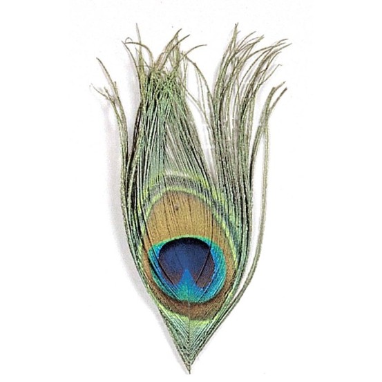 JMC Œil de Paon Naturel-